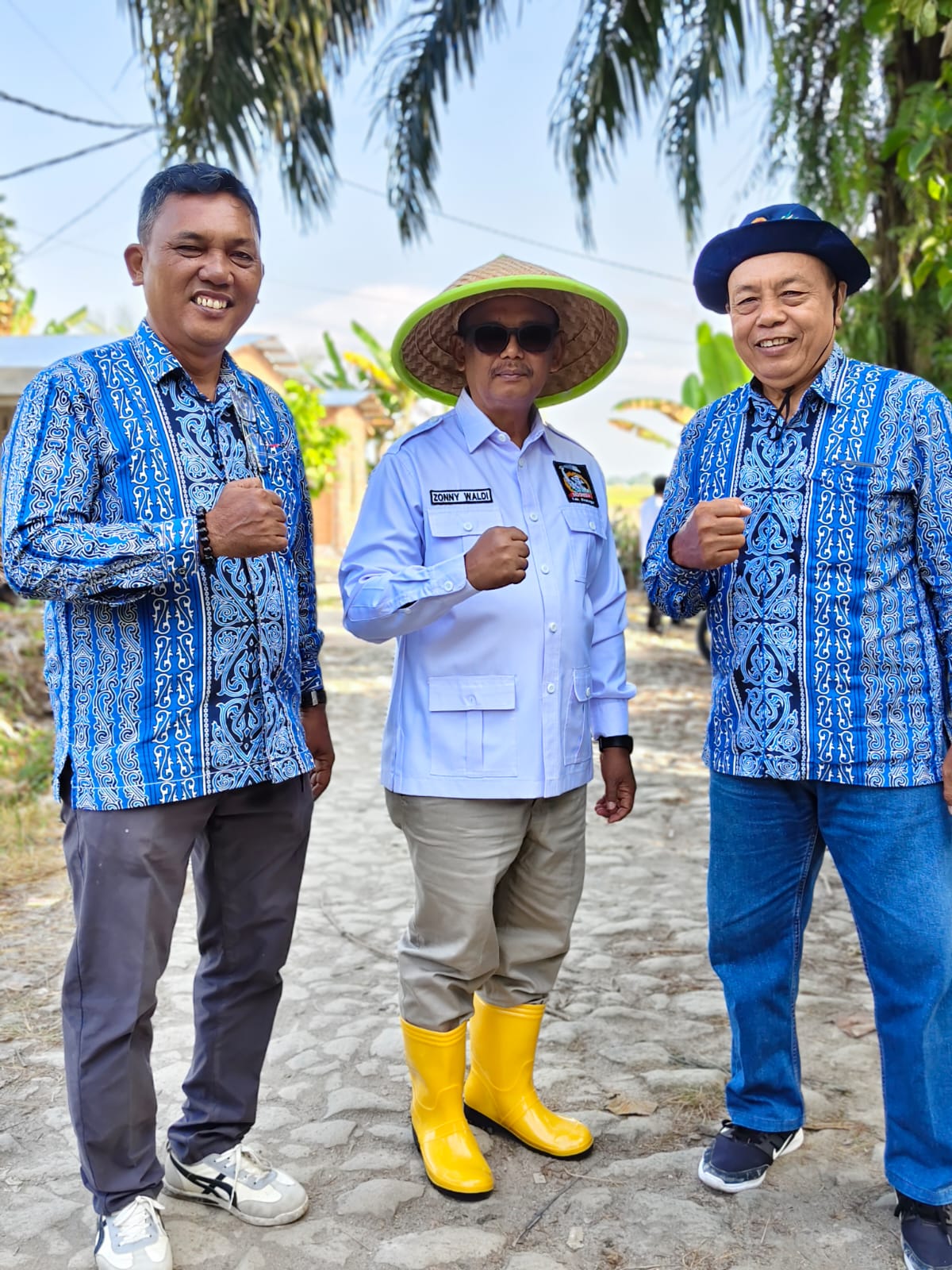 Penanaman Jagung Variates